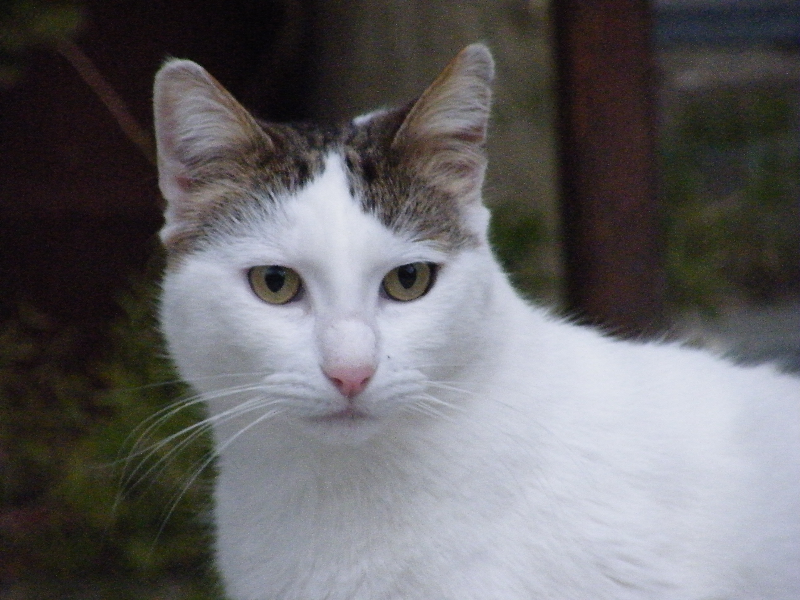 kreta03-2012-024.jpg