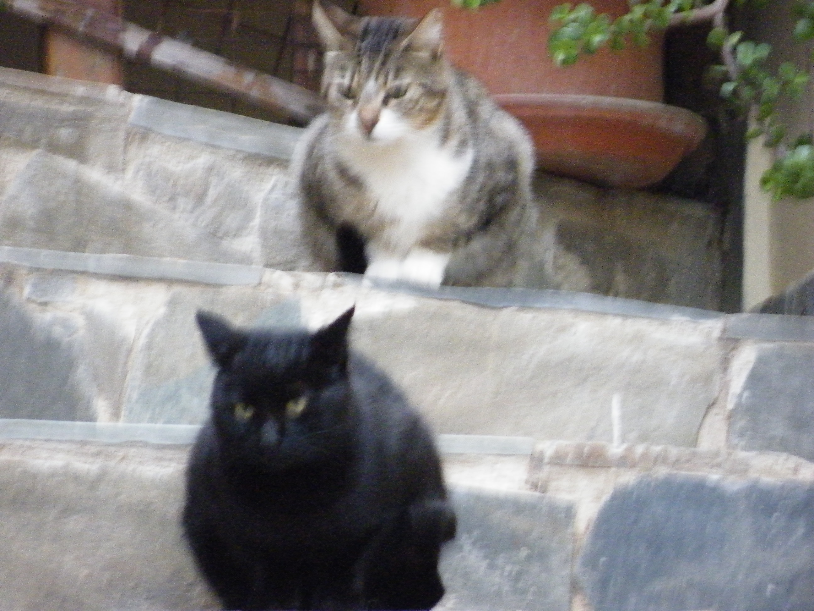 kreta03-2012-026.jpg