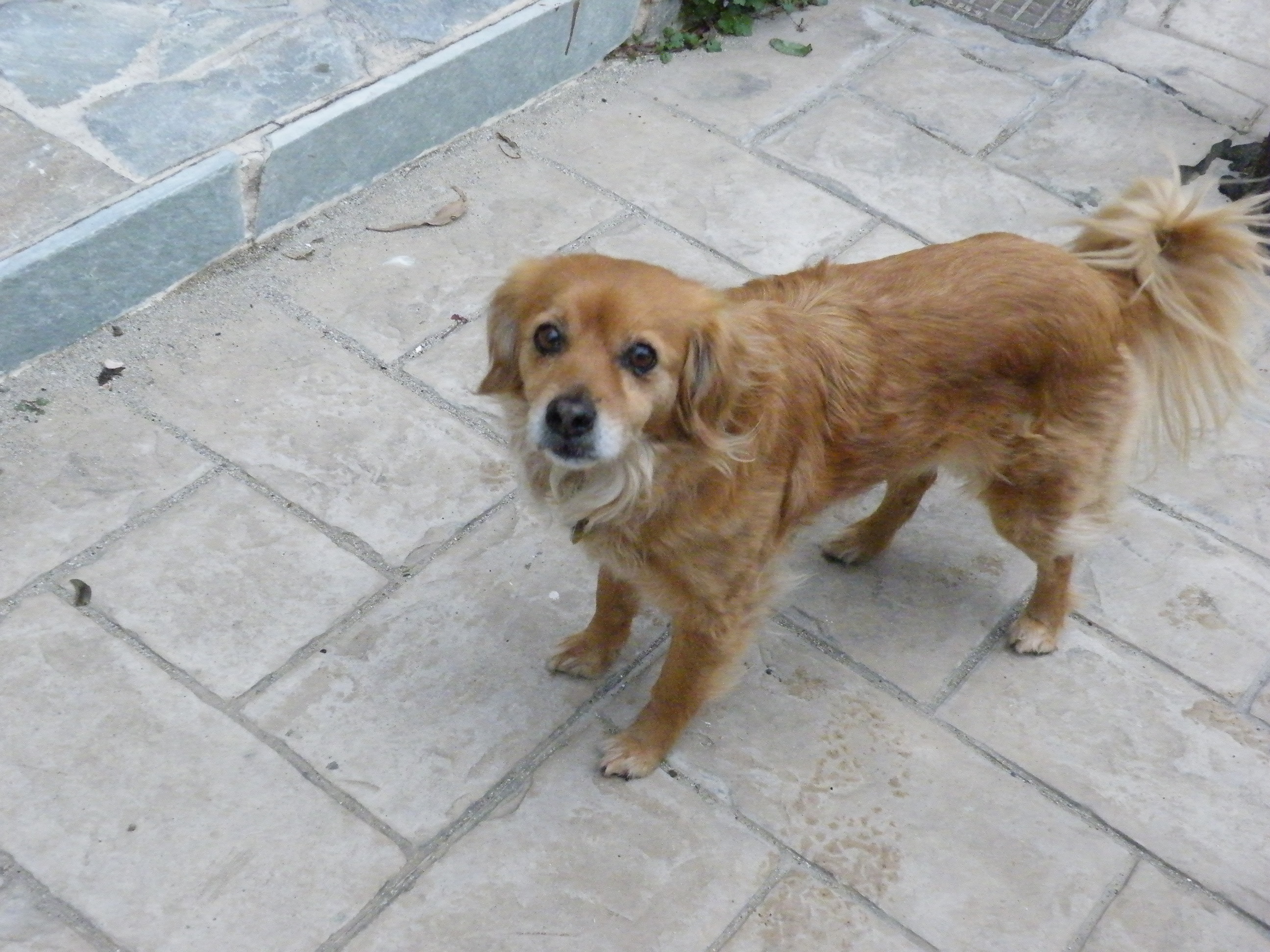 kreta03-2012-028.jpg