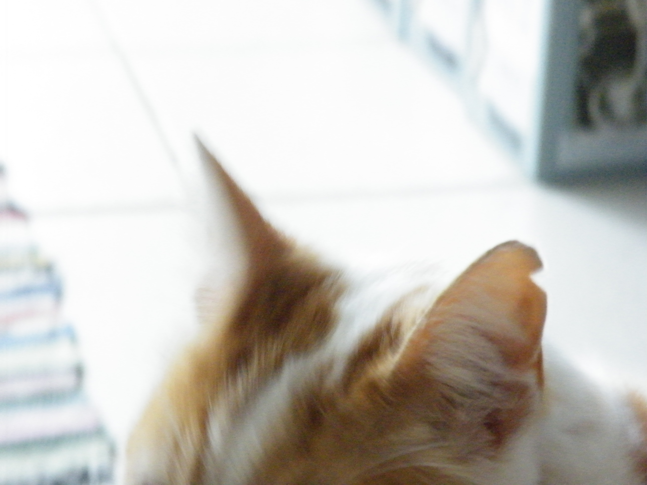 kreta03-2012-046.jpg