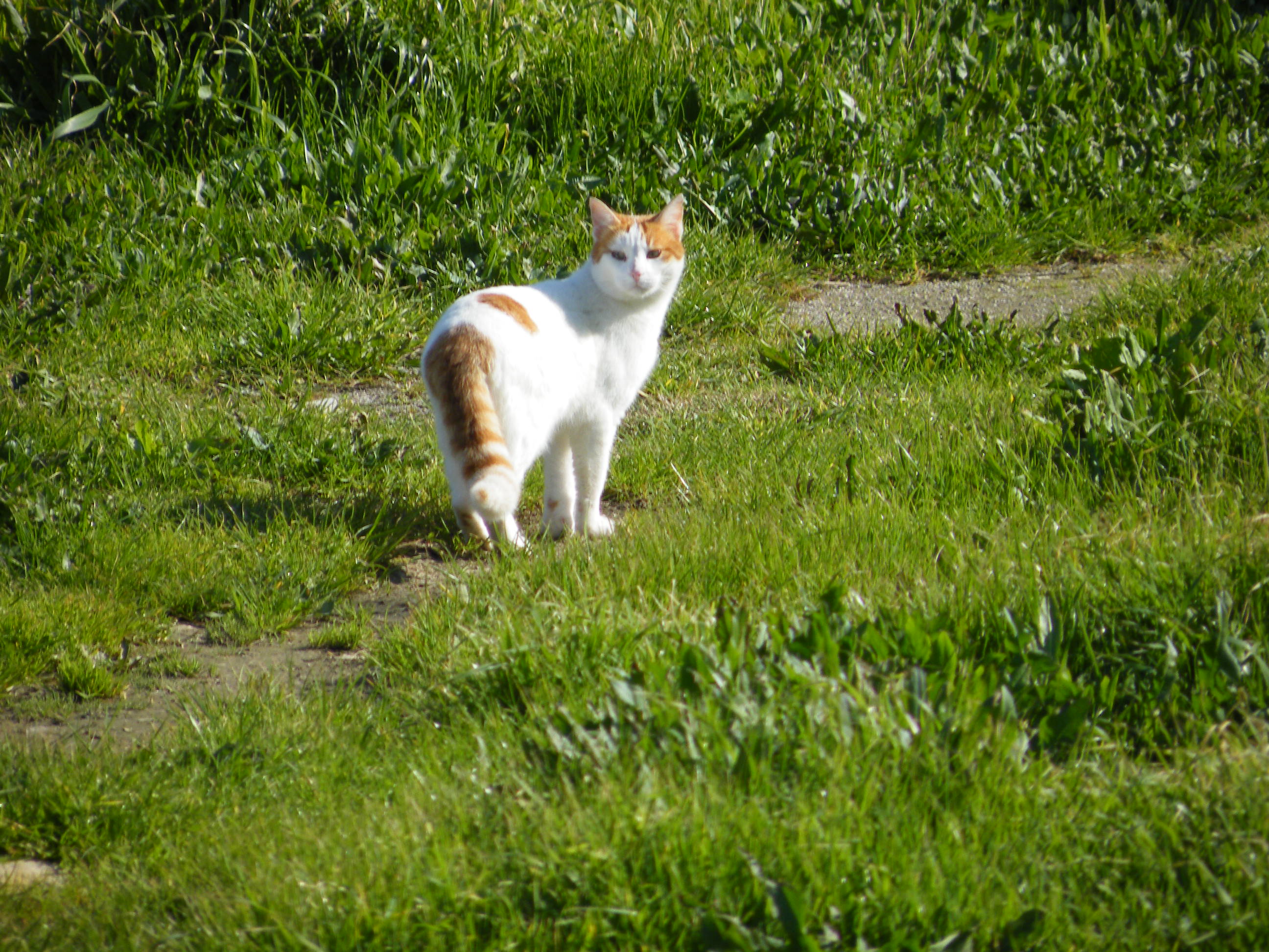 kreta03-2012-072.jpg